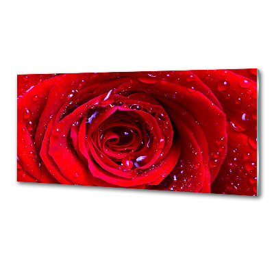 Panel antisalpicaduras Flor de rosa