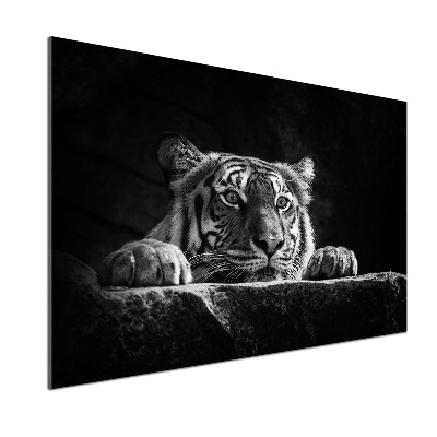 Panel de pared de cocina Tigre