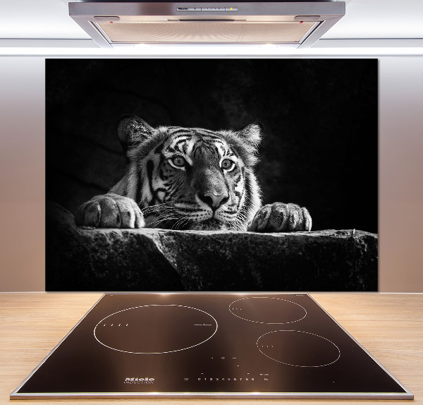 Panel de pared de cocina Tigre