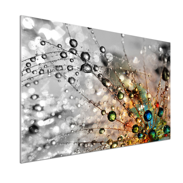 Panel de pared de cocina semillas de diente de león