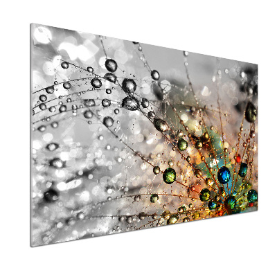 Panel de pared de cocina semillas de diente de león