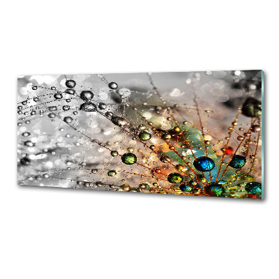 Panel de pared de cocina semillas de diente de león