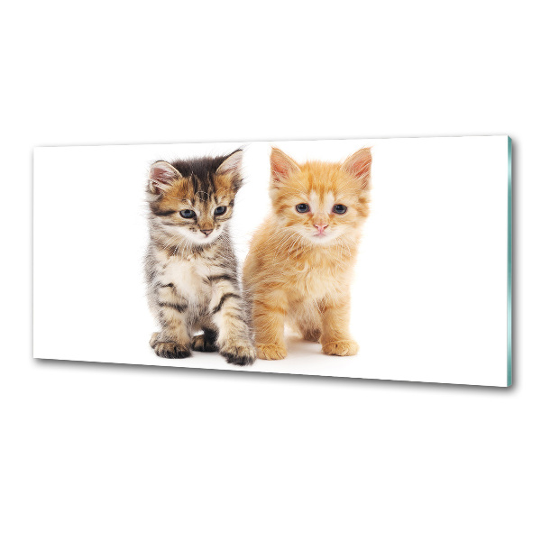 Salpicadero de cocina Gato marrón y jengibre