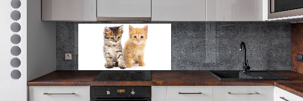 Salpicadero de cocina Gato marrón y jengibre