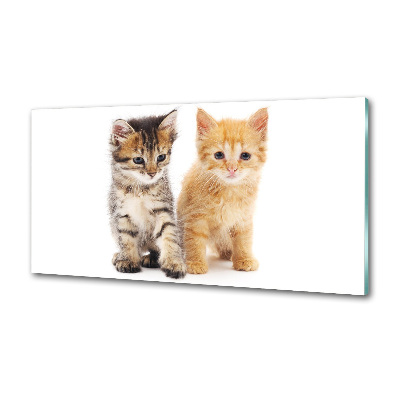 Salpicadero de cocina Gato marrón y jengibre