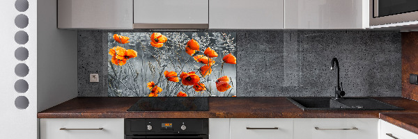 Panel antisalpicaduras Amapolas de campo