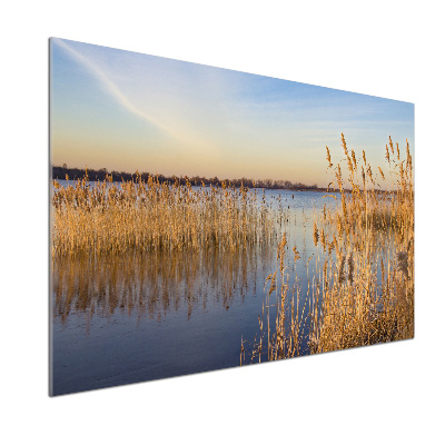 Panel para cocina Junco de agua