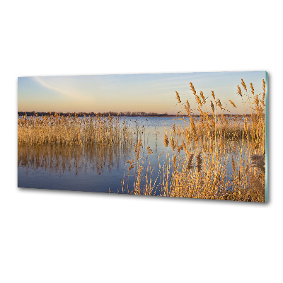 Panel para cocina Junco de agua