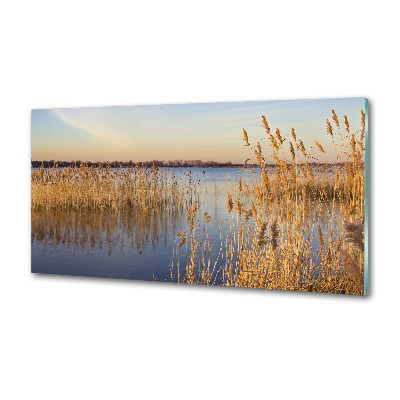 Panel para cocina Junco de agua