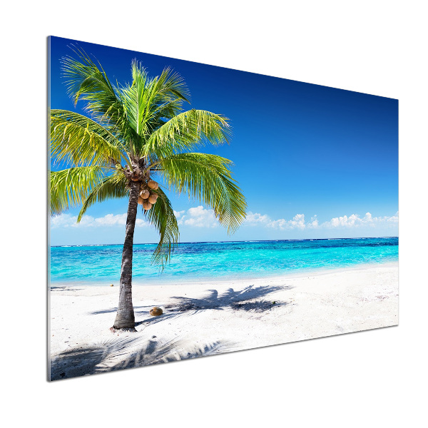 Panel de pared de cocina Playa tropical