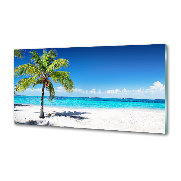 Panel de pared de cocina Playa tropical
