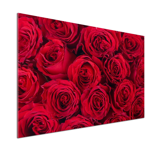 Panel de pared de cocina Rosas