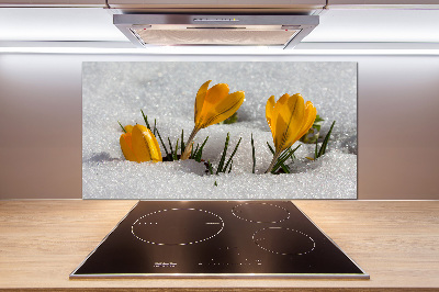 Salpicadero de cocina Azafranes en la nieve