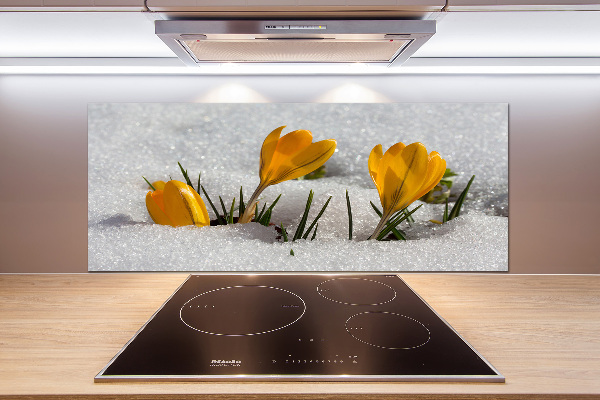 Salpicadero de cocina Azafranes en la nieve