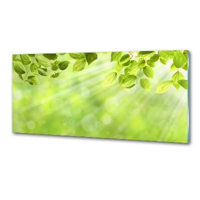 Panel antisalpicaduras Hojas