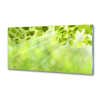 Panel antisalpicaduras Hojas