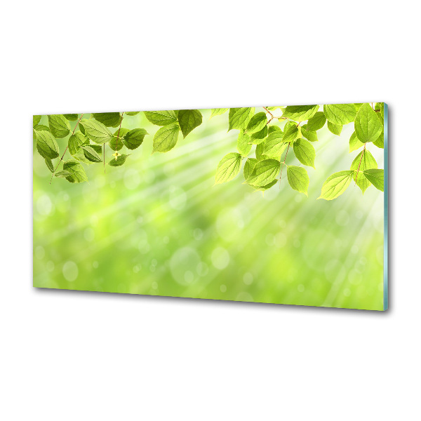 Panel antisalpicaduras Hojas