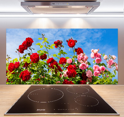 Panel para cocina Rosas silvestres
