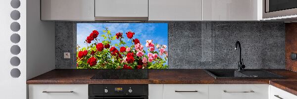 Panel para cocina Rosas silvestres