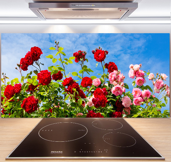 Panel para cocina Rosas silvestres