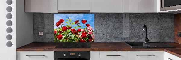Panel para cocina Rosas silvestres