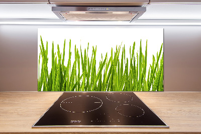 Panel de pared de cocina Césped