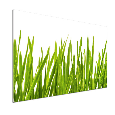 Panel de pared de cocina Césped