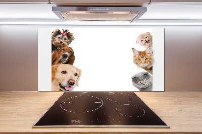 Panel de pared de cocina Perros y gatos