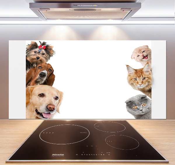 Panel de pared de cocina Perros y gatos