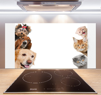 Panel de pared de cocina Perros y gatos