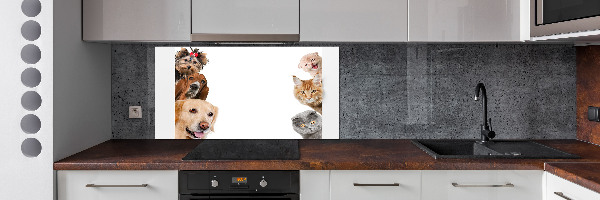 Panel de pared de cocina Perros y gatos