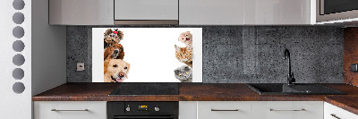 Panel de pared de cocina Perros y gatos