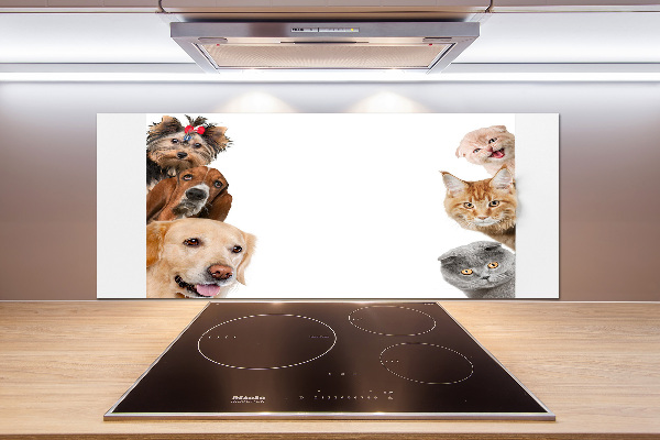 Panel de pared de cocina Perros y gatos