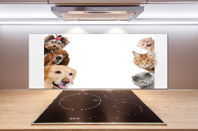 Panel de pared de cocina Perros y gatos