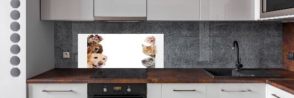 Panel de pared de cocina Perros y gatos