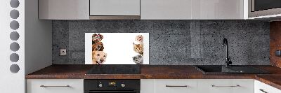 Panel de pared de cocina Perros y gatos