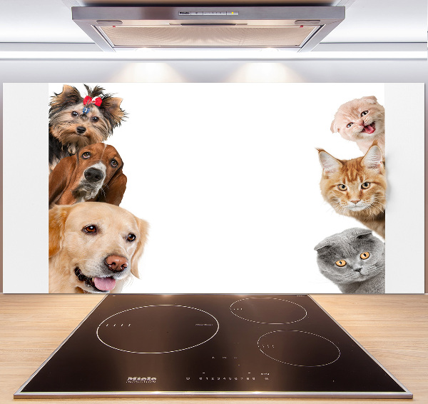 Panel de pared de cocina Perros y gatos