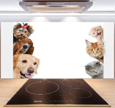 Panel de pared de cocina Perros y gatos