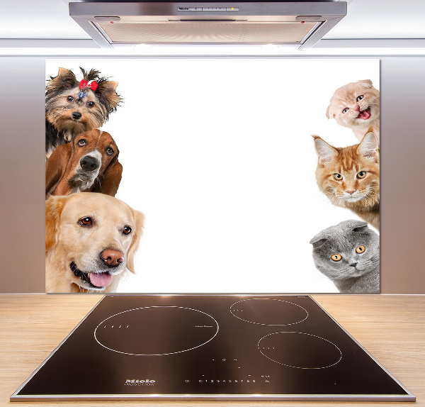 Panel de pared de cocina Perros y gatos