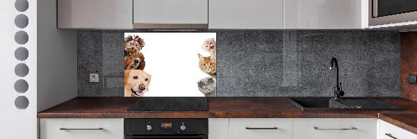 Panel de pared de cocina Perros y gatos