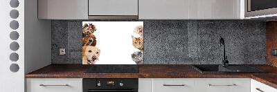 Panel de pared de cocina Perros y gatos