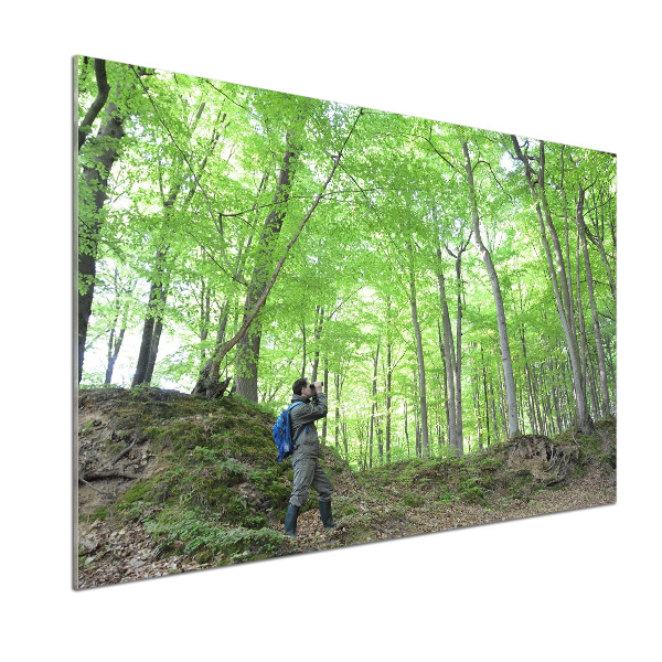 Panel de pared de cocina Ornitólogo en el bosque