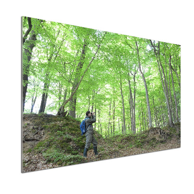 Panel de pared de cocina Ornitólogo en el bosque