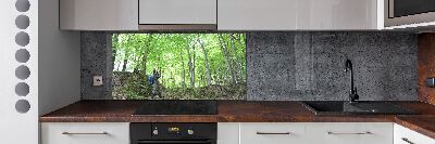 Panel de pared de cocina Ornitólogo en el bosque
