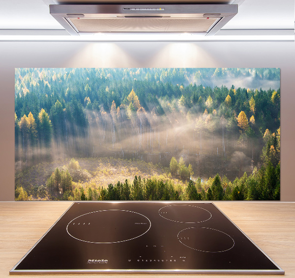 Panel para cocina Niebla en el bosque