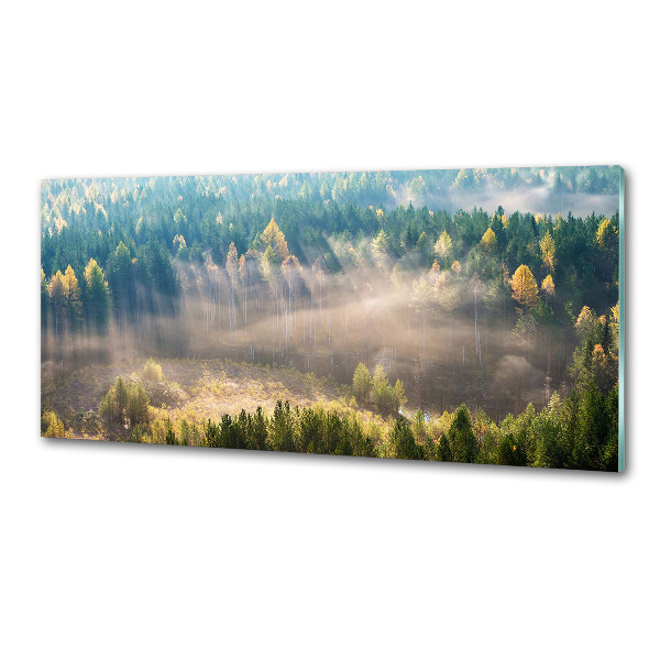 Panel para cocina Niebla en el bosque