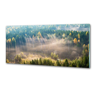 Panel para cocina Niebla en el bosque