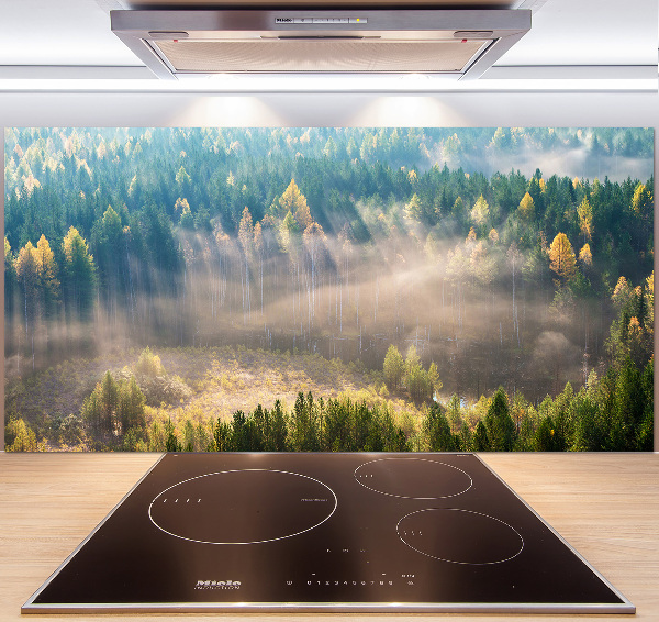 Panel para cocina Niebla en el bosque