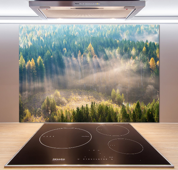 Panel para cocina Niebla en el bosque