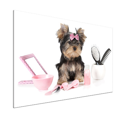 Panel antisalpicaduras Cosméticos de Yorkshire